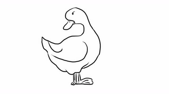 家禽鸭子幼儿亲子简笔画