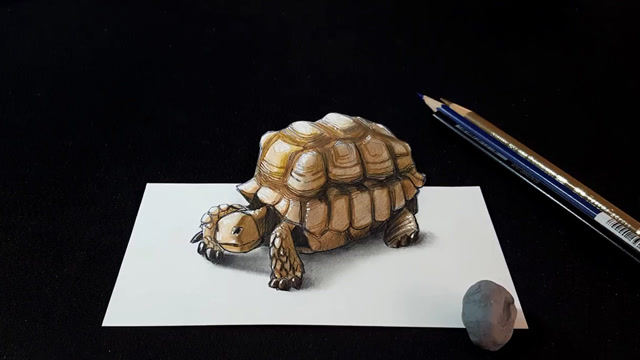 用彩色铅笔画一只3d版的乌龟,乍一看太像了