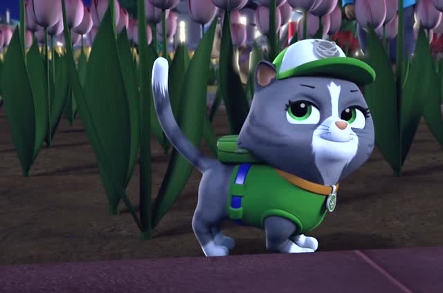 调皮捣蛋猫咪潜入郁金香花园,这下汪汪队有的忙了