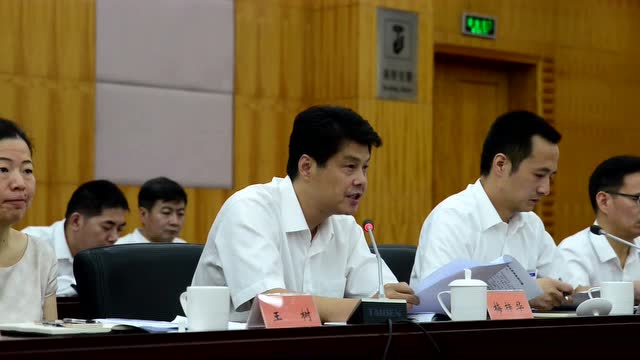 市发改委主任梅梓华回答关于项目审批的问题