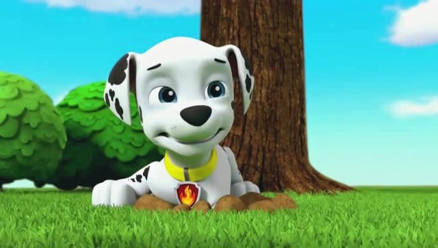 汪汪队立大功第四季:是谁把毛毛和它的房子都变小了呢