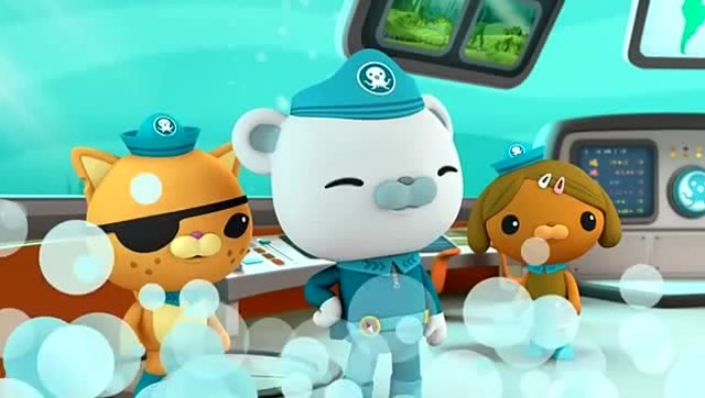 海底小纵队:原来虎鲸是被奇怪的声音给吸引来的