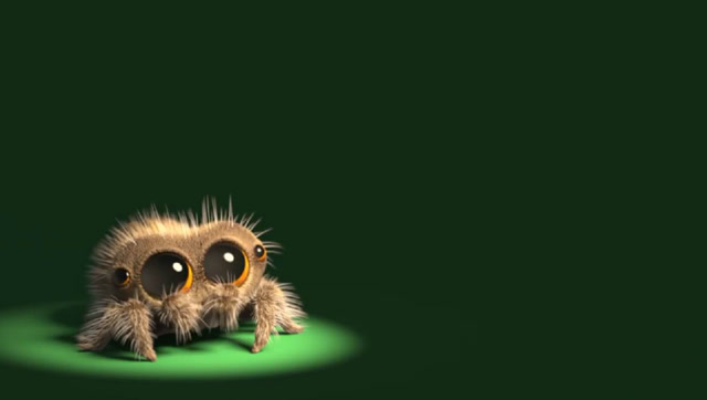 世上最可爱蜘蛛没有之一人见人爱一开口说话让人心都融化