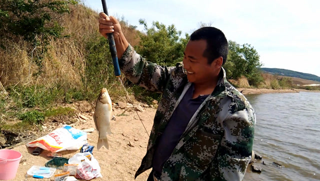 农村小涛去钓鱼,新买的装备,钓到一条放了还不走,任性的鱼