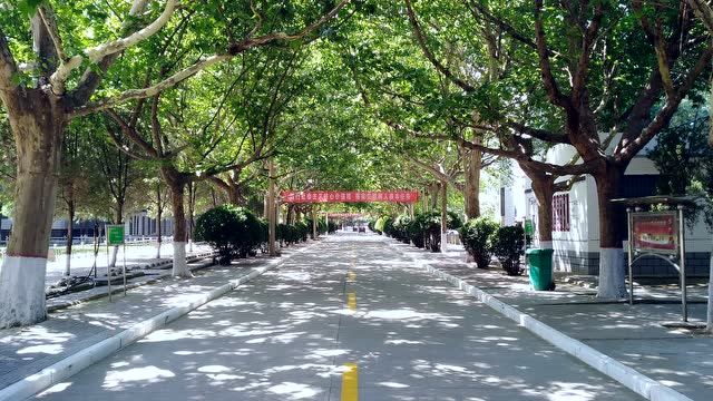 运城学院附属中学 腾讯网