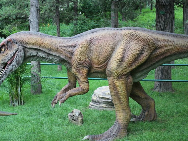 山东小山村发现恐龙足迹