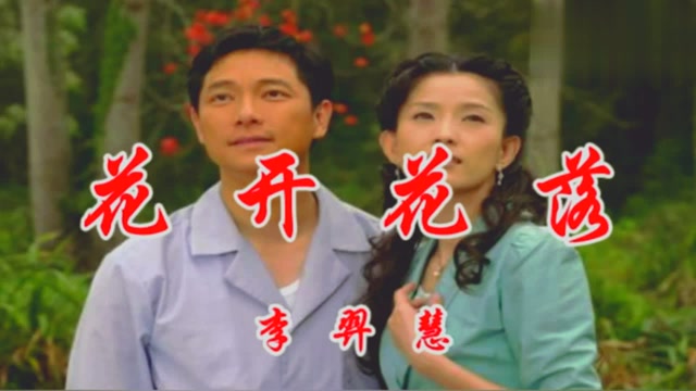李义辉的经典歌曲《花开花落》,电视剧《木棉春》开场曲