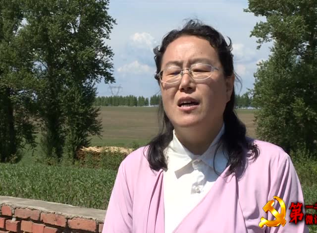 心手相连 攻坚克难 ---第一书记何世华