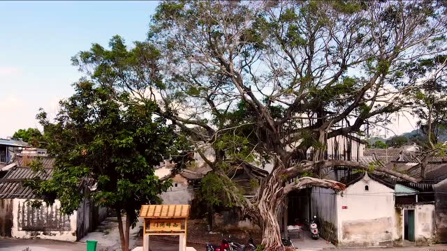 汕头市澄海区上华镇菊池创文之歌