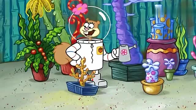 蟹老板 派大星 珊迪给海绵宝宝修房子,建造出一栋别墅