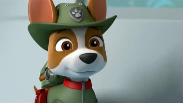 《汪汪队立大功 第4季》小克很勇敢,要去救卡洛斯呢