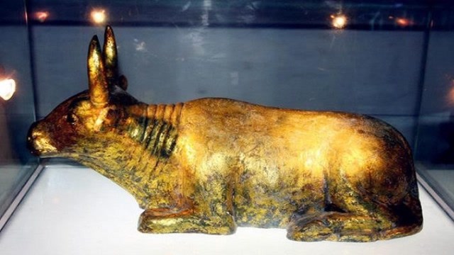 墓葬被盗墓贼搬空,专家情绪激动踢倒墓墙,竟发现西夏第一牛