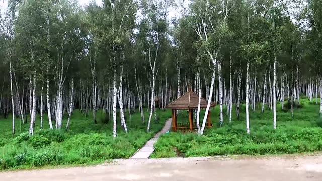 大美勃利县航拍