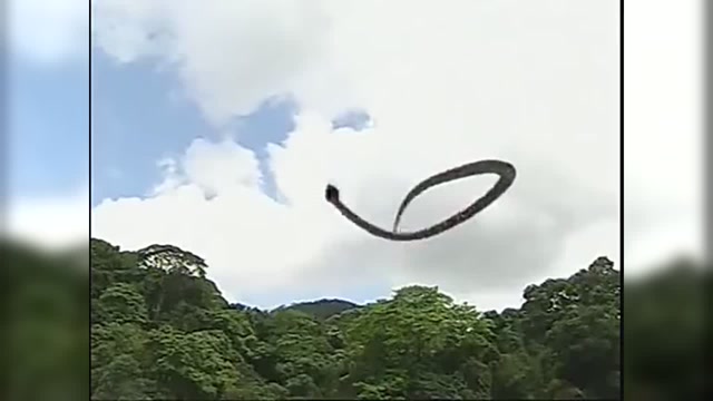 村民被蛇妖吞进肚子,没想到有仙女陪同,竟在蛇妖腹中活了下来