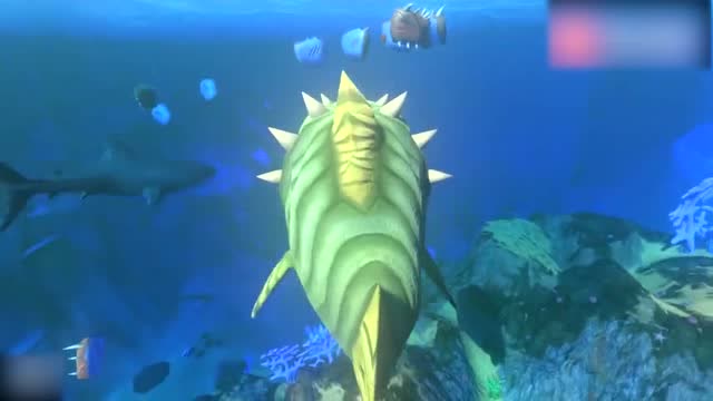 海底大猎杀 60多级的绿刺鱼对战大白鲨