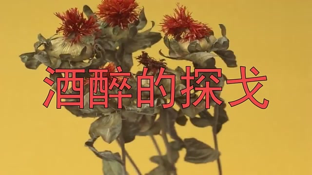 還是鄧麗君演唱的《酒醉的探戈》好聽,完美至極,太棒了