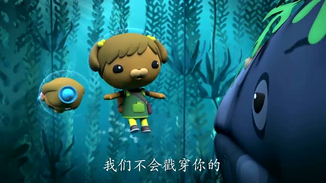 海底小纵队;海螺宝宝到底在不在灰鲸的身上呢?