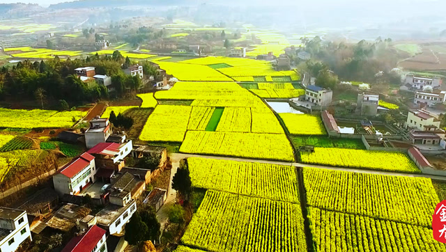 "花绽金龙,乐游田园"金堂金龙镇宣传片