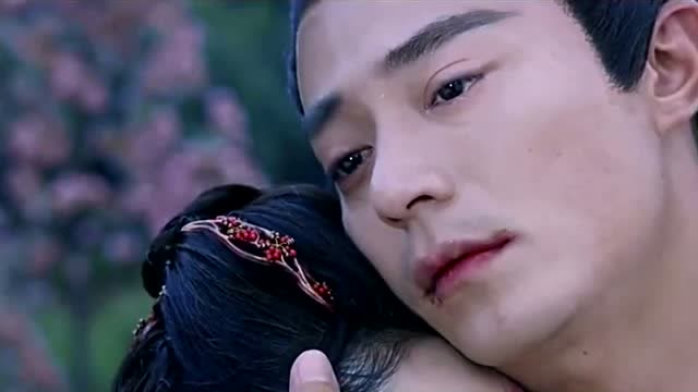 花千骨和白子画混剪,他们的感情太感人了