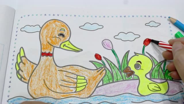 2-6岁幼儿园宝宝简笔画涂色 鸭妈妈找蛋的故事