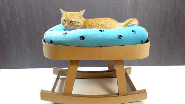 diy小手工,用纸板给猫咪制作摇摇床,看猫咪一幅享受的样子