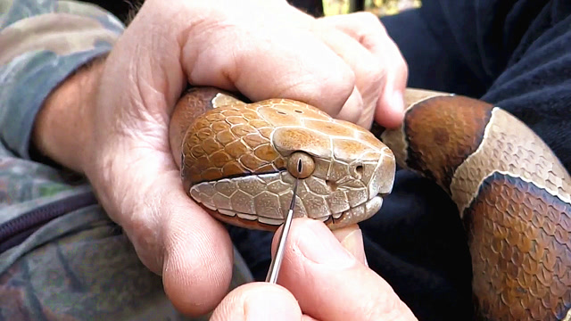 大爷雕刻技术了得,在木棍上雕刻出一条蛇形拐杖,成品逼真得吓人