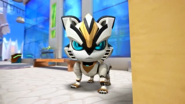 《猪猪侠之超星萌宠》铁拳虎自以为藏得好,没想到钢齿虎就在旁边!