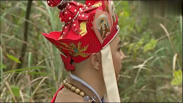八戒沙僧出去化斋,不料假悟空找到唐僧直接将他打晕