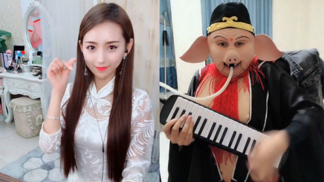 网红八戒与美女古筝版《沙漠骆驼》网友:这声音模仿得真像,太搞笑了