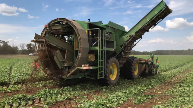 美国先进的自动化黄瓜收割机,简直就是机械怪兽,太霸气了!