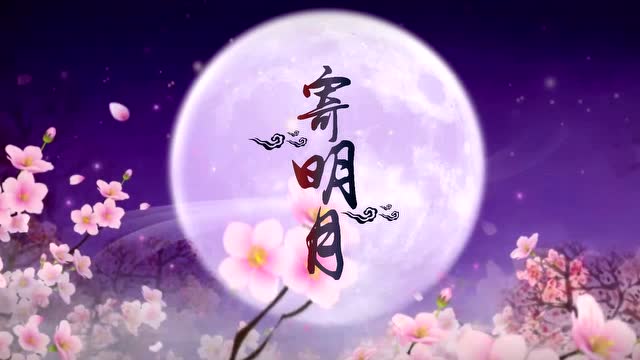 寄明月背景视频