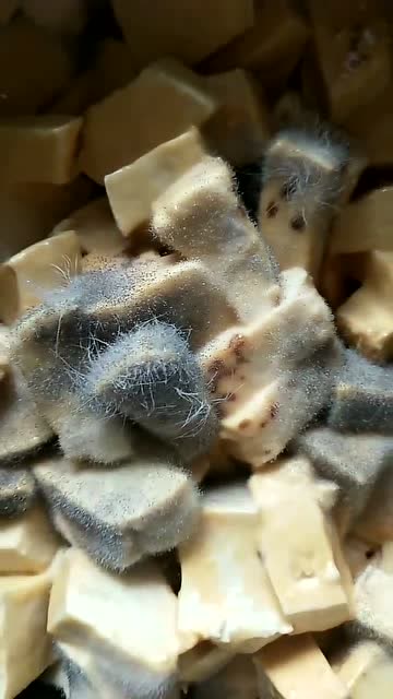 臭豆腐的本体见过咩?