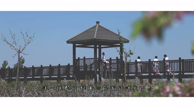 西宋桃花节4月13日开幕