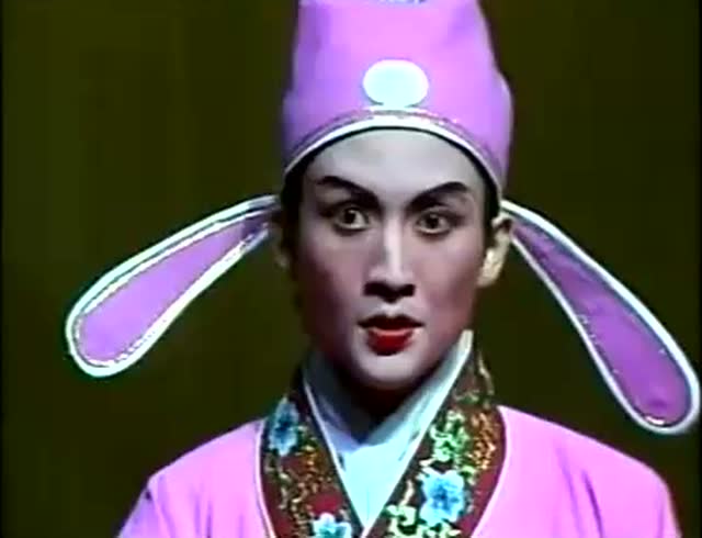 莆仙戏名生林金标表演艺术