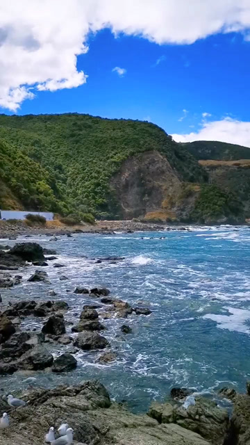 鲸鱼湾遗憾的是没有看到鲸鱼不过景色还是相当不错的