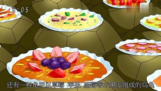 美食的俘虏:龟甲以草莓苹果蓝莓等水果派,组成的水果派龟