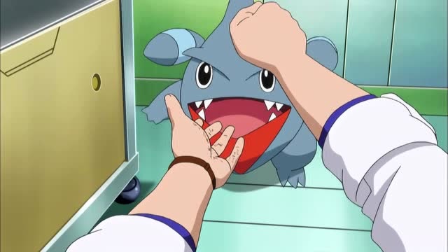 《精灵宝可梦》小鲨鱼把博士当成敌人给咬了,博士不会有事吧?