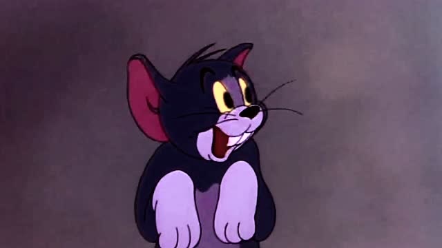 猫和老鼠:汤姆抓住老鼠被主人误伤健忘变成老鼠,好可怜