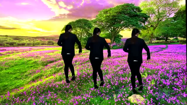 网红步子舞入门教学版32步《花儿哪有阿妹俏》阿裙广场舞