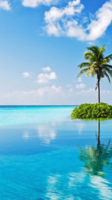 河伯的新娘 :武罗飞廉这对好甜!