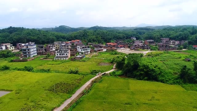 航拍怀集县连麦镇向阳村,随着稻香河流一起奔跑!