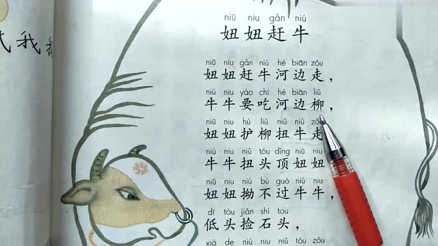 这就是《妞妞赶牛》绕口令,你学会了吗