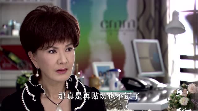 看到林妈妈的照片,确定就是林品如,高虹打算毁掉洪国荣!