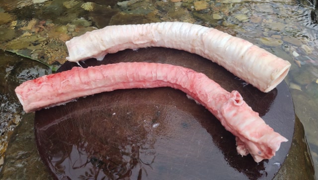 很多人没吃过的牛喉,小伙简单两个步骤,又香又脆,看饿了