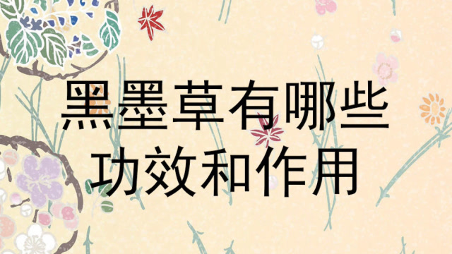 黑墨草有哪些功效和作用