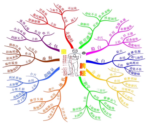 大脑太极——经络思维导图