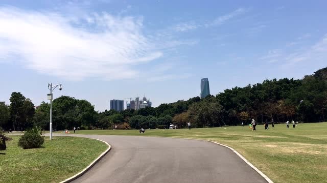 深圳莲花山公园风筝广场现在真的觉得放风筝是个隐患很大的事儿