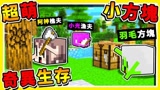 我的世界 如果麦块方块是活的整个世界大乱 5分钟摧毁服务器 奇异生存