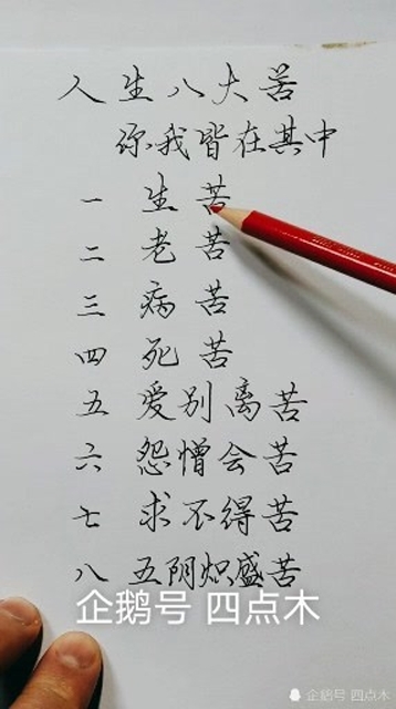 你我皆在其中,人生八苦