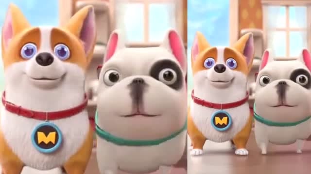 飞狗moco:奥斯卡这性感的小步伐,真是无人能敌!